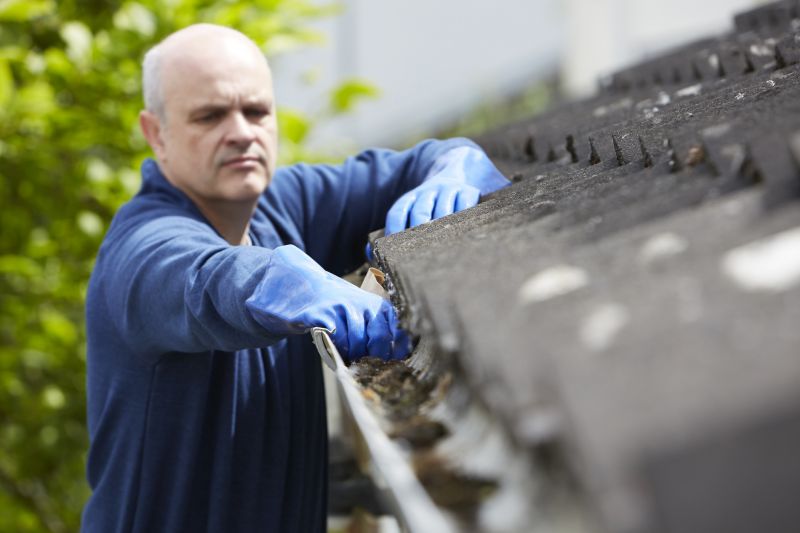 Gutter System Inspection